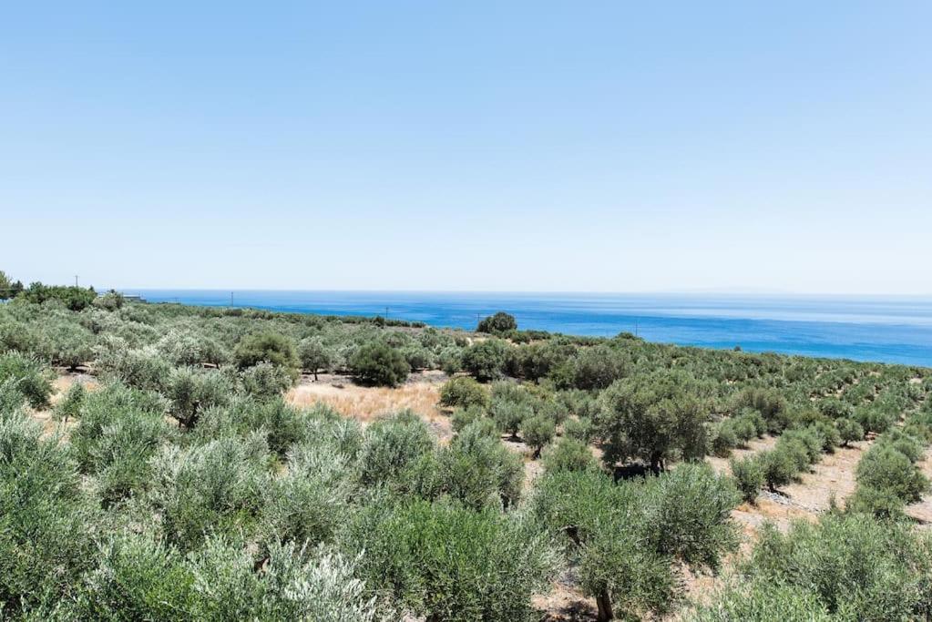 Villa Olvia سفاكيا المظهر الخارجي الصورة
